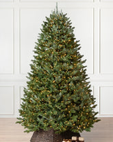 Árvore de Natal BH Fraser Fir com LED