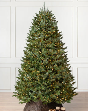 Árvore de Natal BH Fraser Fir com LED