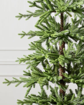 Árvore de Natal Alpine Balsam Fir com LED