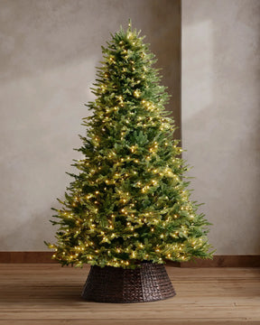 Árvore de Natal BH Balsam Fir com LED